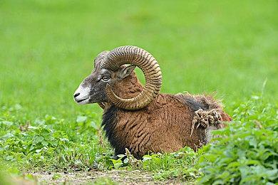 《OD》是TGA上最受媒体青睐的游戏 《战神》紧随其后