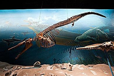 任天堂Switch会员经典游戏库将新增游戏：《瓦力欧寻宝记》